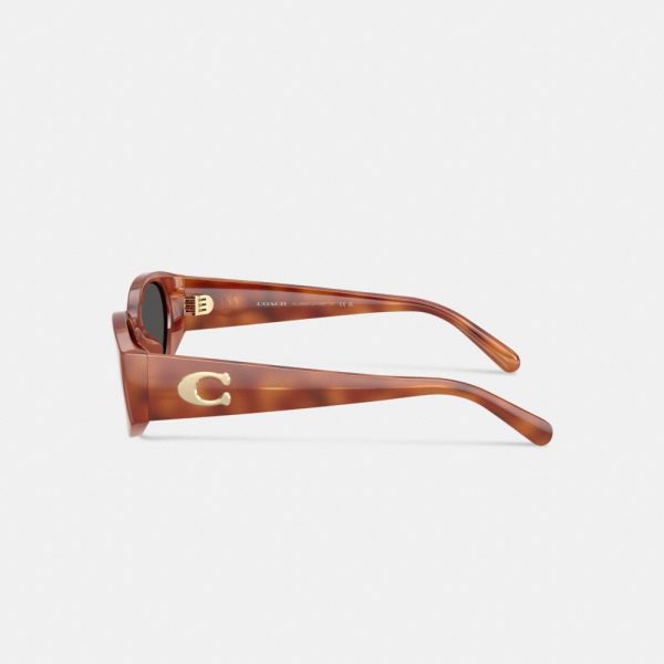 Coach Maxi Sculpted C Narrow Round Sunglasses - Preorder