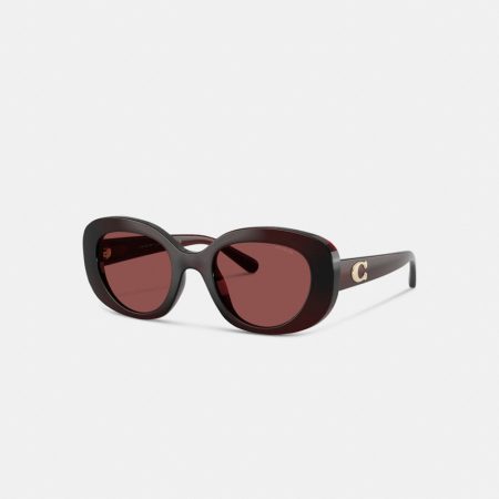 Coach Maxi Sculpted C Oversized Round Sunglasses - Preorder — Transparent Garnet