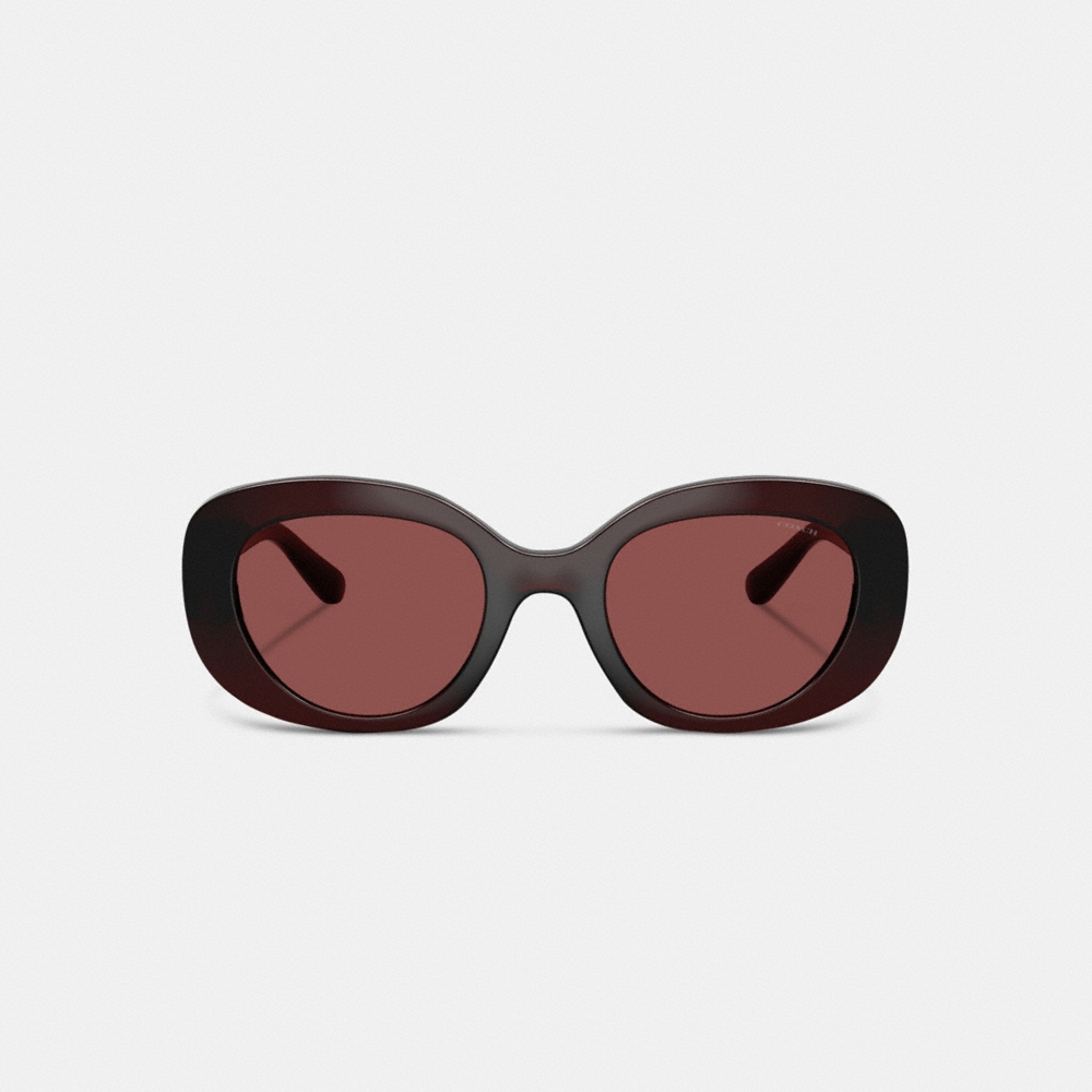 Coach Maxi Sculpted C Oversized Round Sunglasses - Preorder - Image 3