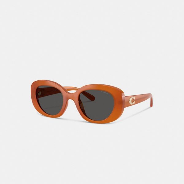 Coach Maxi Sculpted C Oversized Round Sunglasses - Preorder