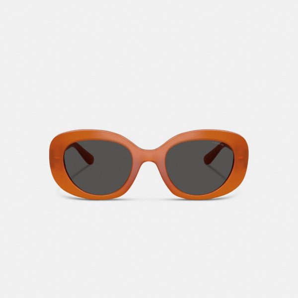 Coach Maxi Sculpted C Oversized Round Sunglasses - Preorder