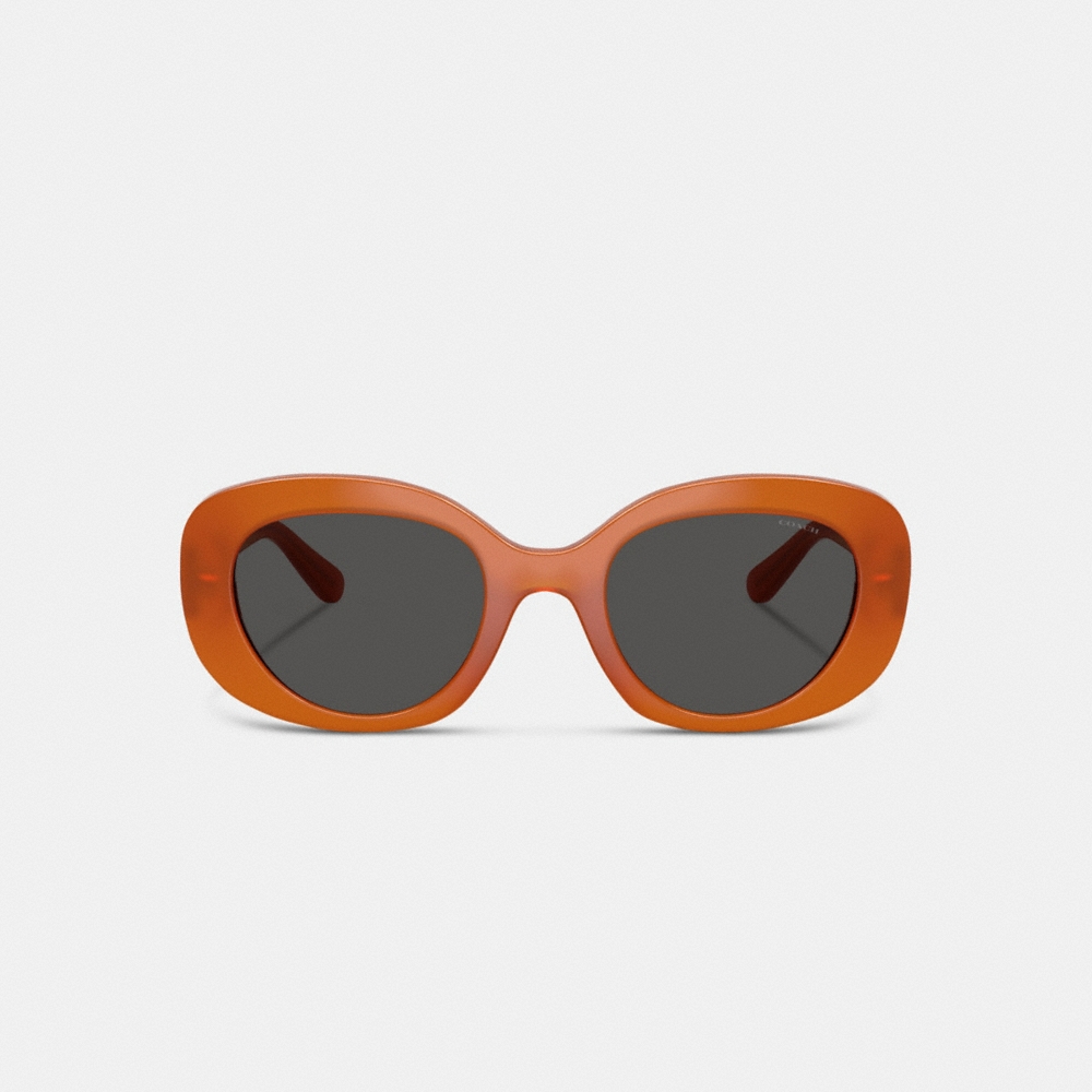 Coach Maxi Sculpted C Oversized Round Sunglasses - Preorder - Image 6