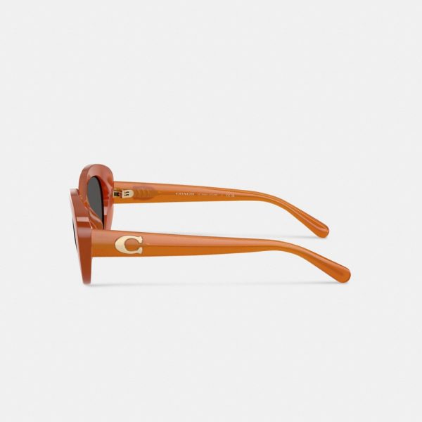 Coach Maxi Sculpted C Oversized Round Sunglasses - Preorder