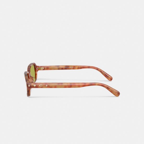 Coach Charms Narrow Rectangle Sunglasses - Preorder