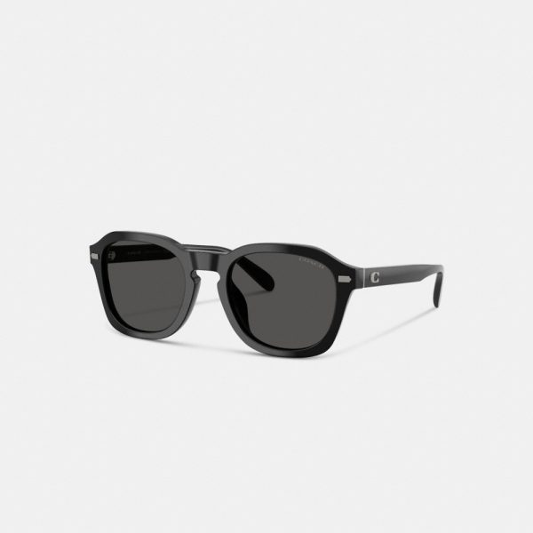 Coach C Hardware Round Sunglasses - Preorder