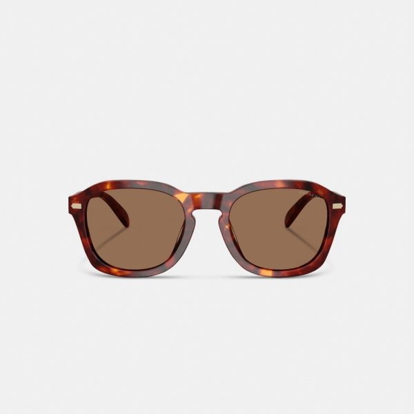 Coach C Hardware Round Sunglasses - Preorder