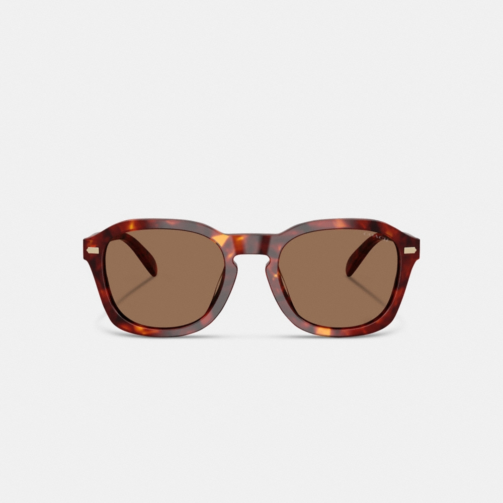 Coach C Hardware Round Sunglasses - Preorder