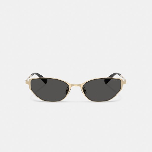 Coach C Hardware Cat Eye Sunglasses - Preorder