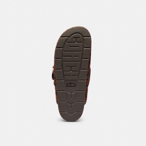 Coach Outlet Archival Buckle Clog In Signature Chenille - Preorder