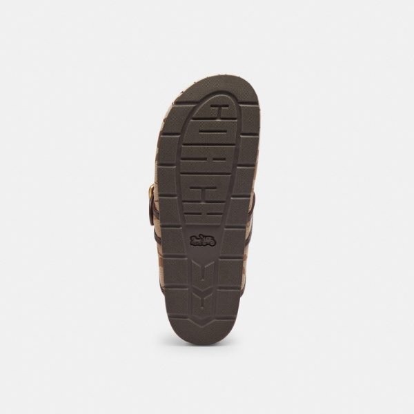 Coach Outlet Archival Buckle Clog With Signature Sateen Jacquard - Preorder