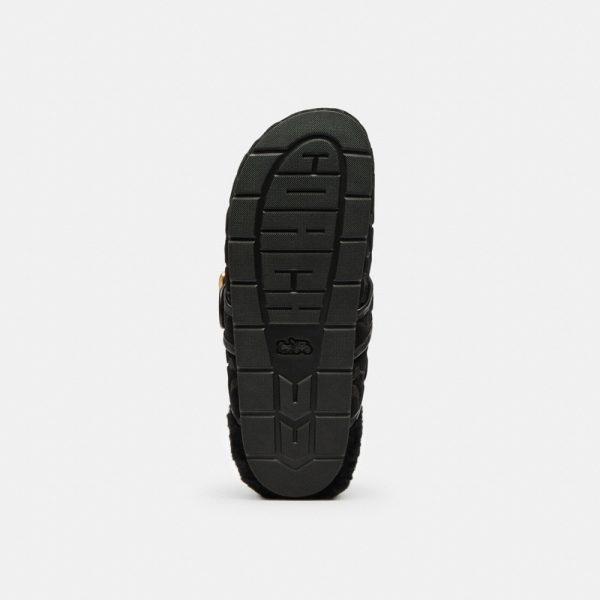 Coach Outlet Archival Buckle Clog With Signature Suede And Shearling - Preorder