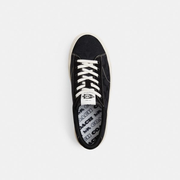 Coach Outlet Skate Sneaker - Preorder