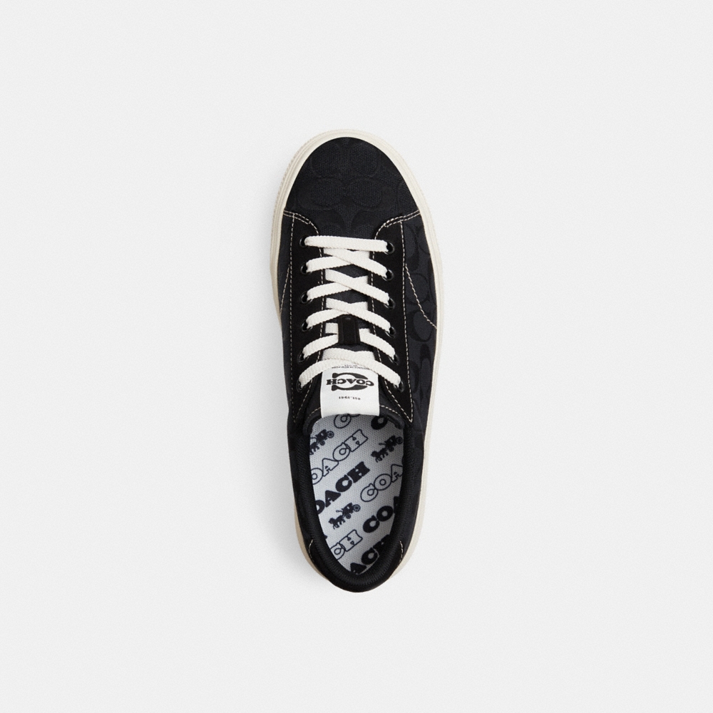 Coach Outlet Skate Sneaker - Preorder