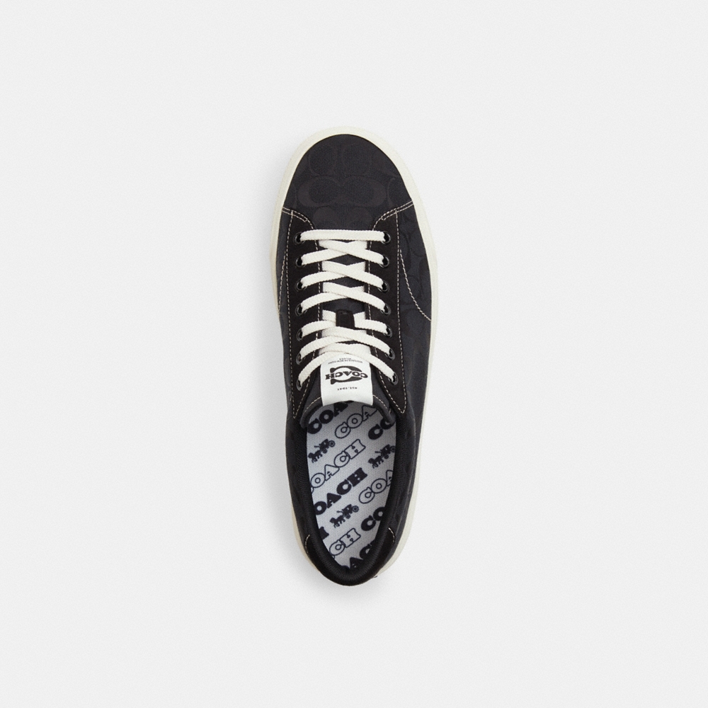 Coach Outlet Skate Sneaker In Signature Jacquard - Preorder
