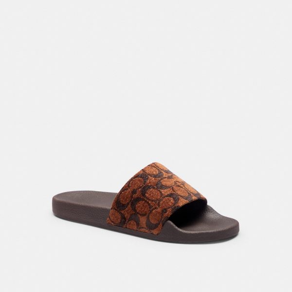 Coach Outlet Udele Sport Slide In Signature Chenille - Preorder