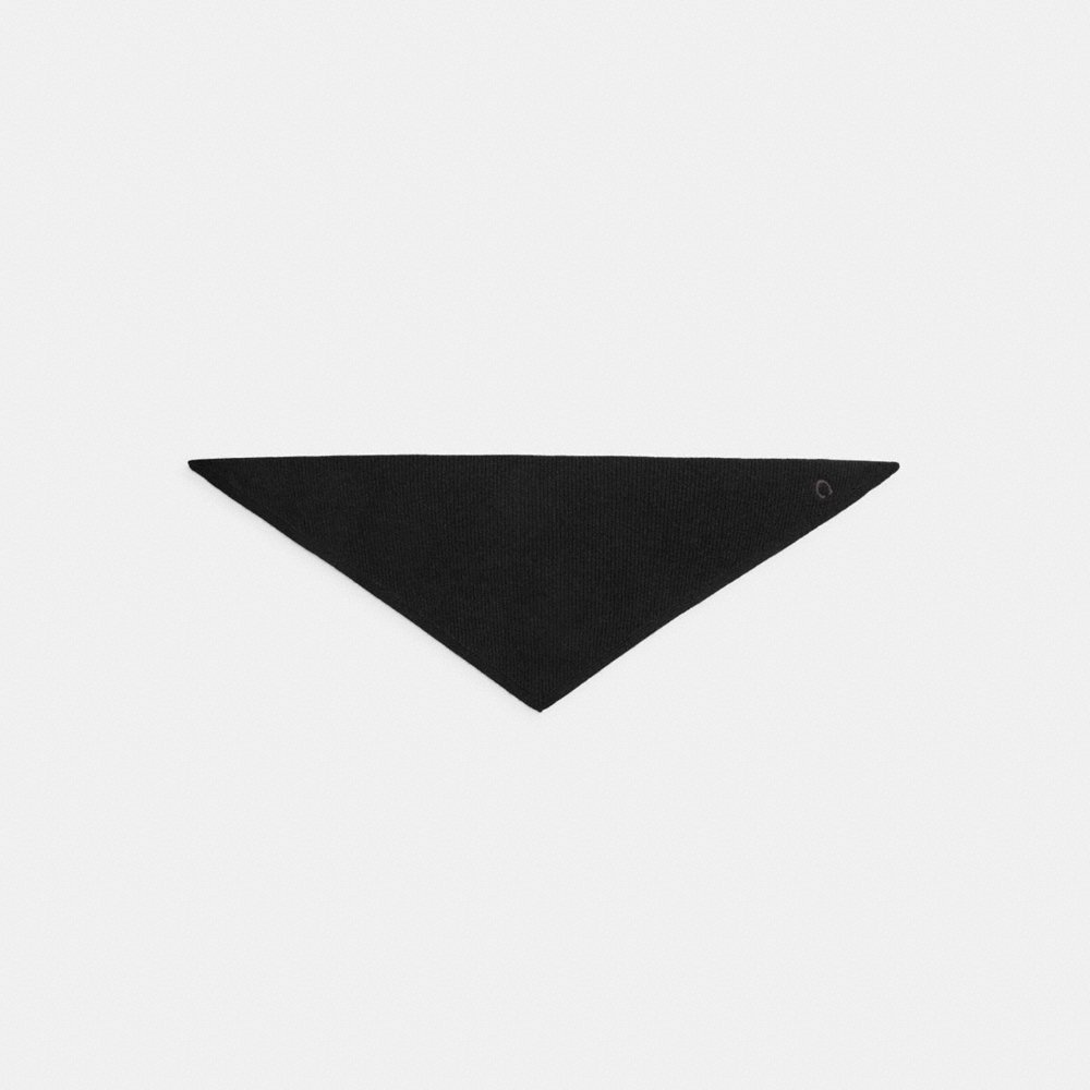 Coach Outlet Cashmere Knit Small Triangle Scarf - Preorder