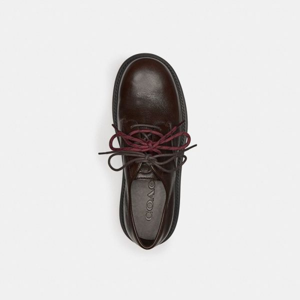 Coach Oxford Derby - Preorder