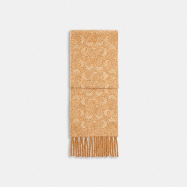 Coach Outlet Signature Muffler - Preorder