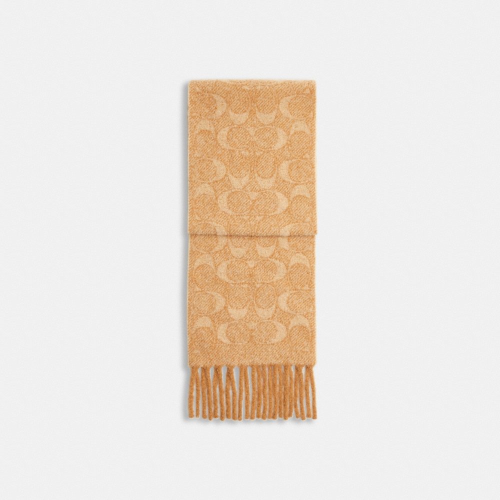 Coach Outlet Signature Muffler - Preorder