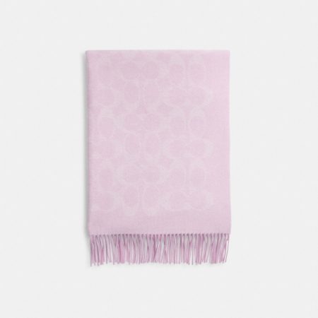 Coach Outlet Signature Blanket Scarf - Preorder — Light Pink/Pink