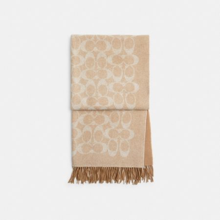 Chalk / Soft Beige