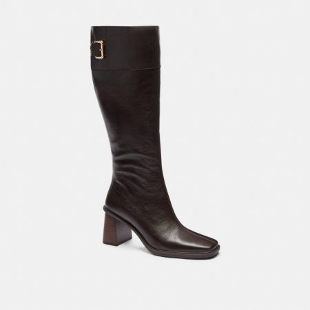 Chocolate Brown