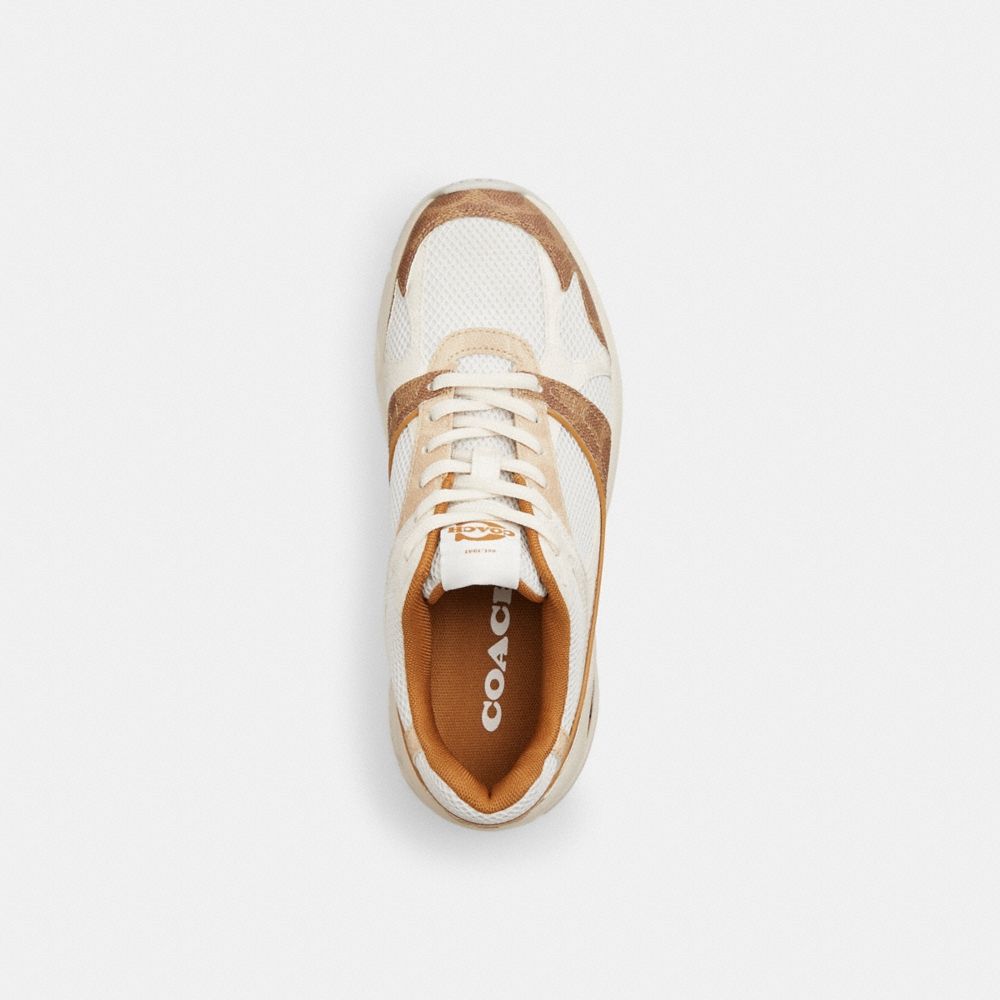 Coach Outlet Sport Sneaker In Signature Canvas - Preorder