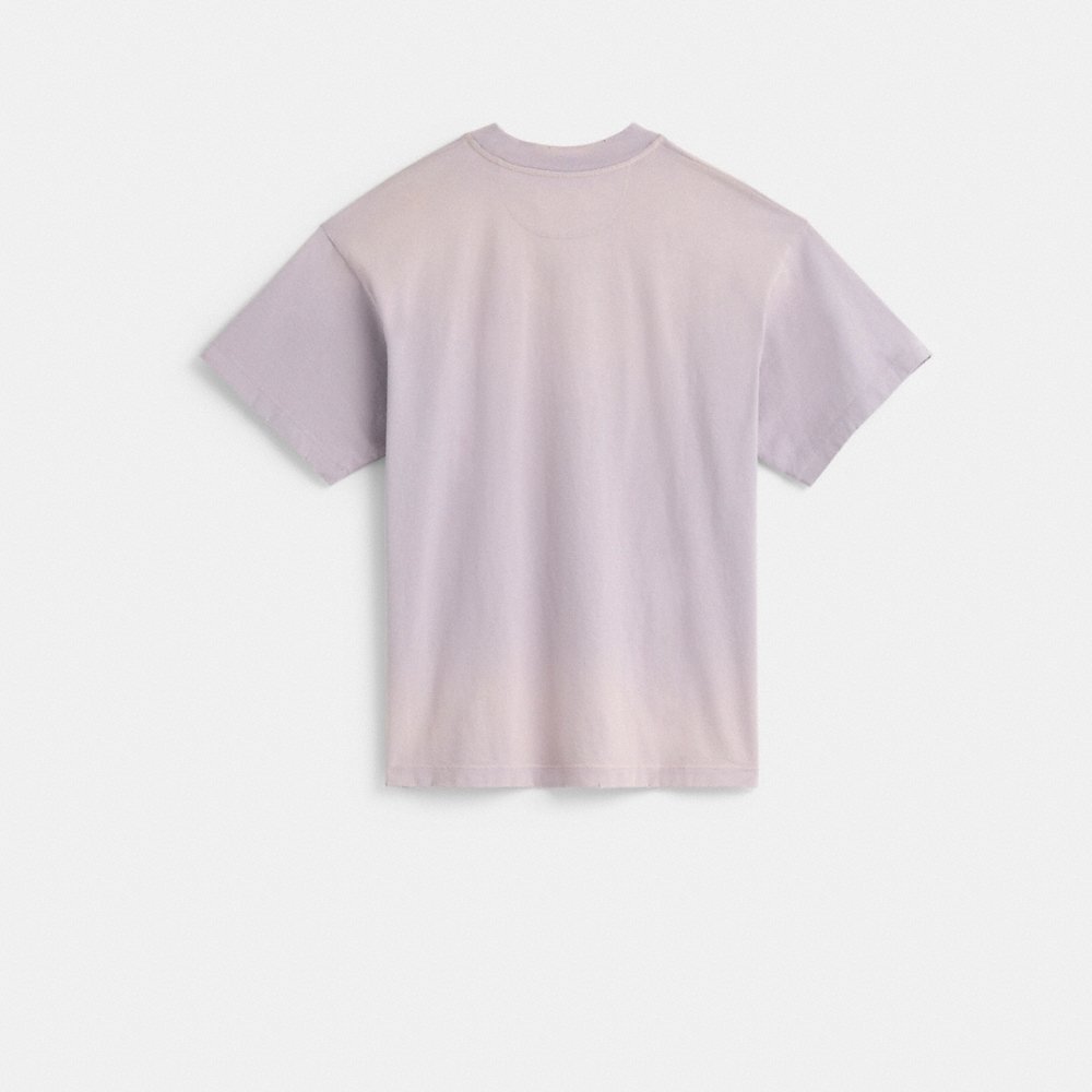 Coach Restored Signature Apple T-Shirt - Preorder