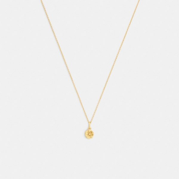 Coach Outlet Tea Rose Solitaire Pendant Necklace - Preorder