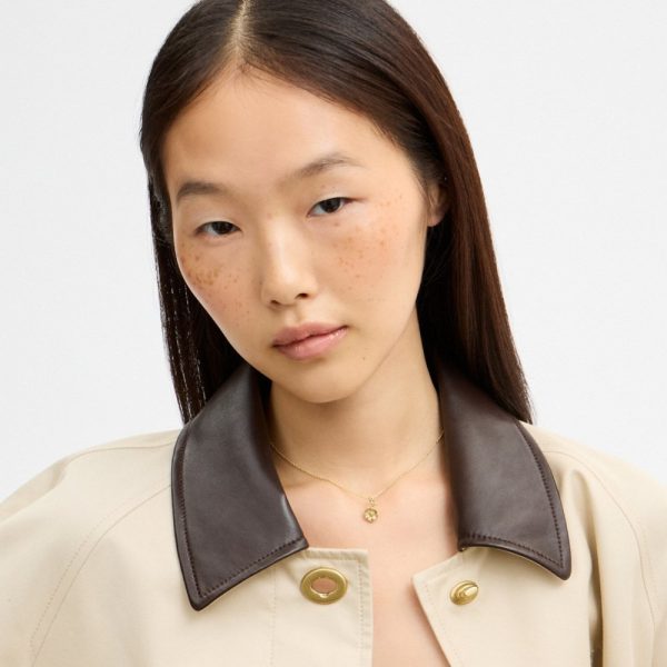 Coach Outlet Tea Rose Solitaire Pendant Necklace - Preorder