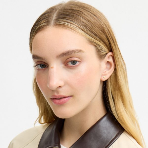Coach Outlet Rexy And Cherry Stud Earring Set - Preorder