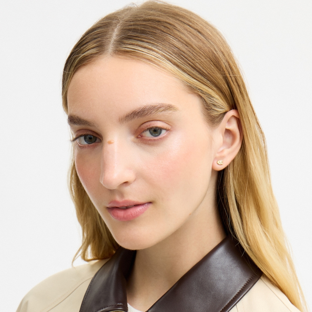 Coach Outlet Rexy And Cherry Stud Earring Set - Preorder