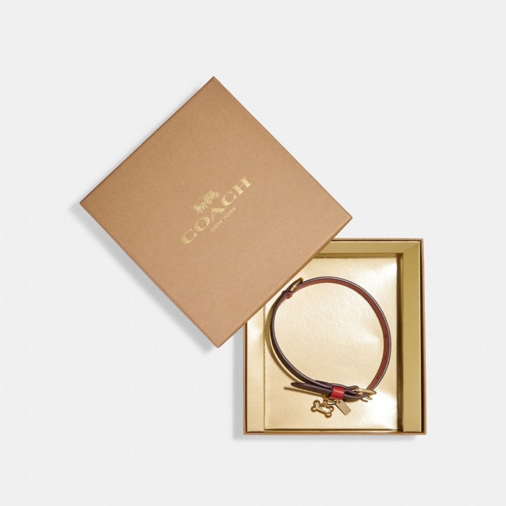 Coach Outlet Boxed Medium Pet Collar In Signature Canvas - Preorder