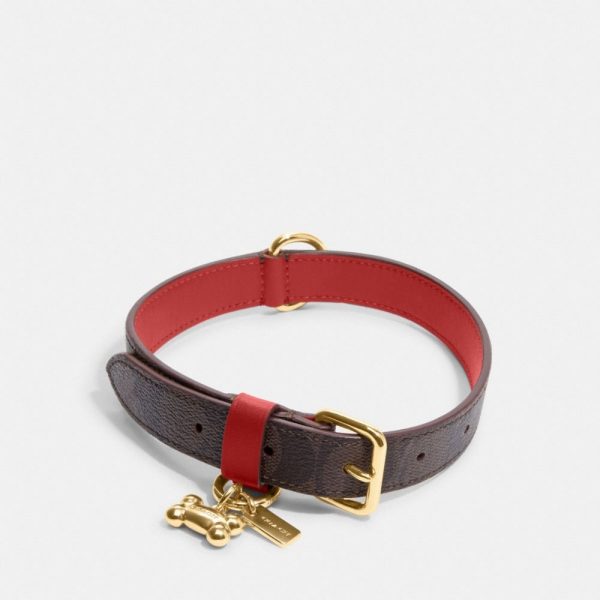 Coach Outlet Boxed Medium Pet Collar In Signature Canvas - Preorder