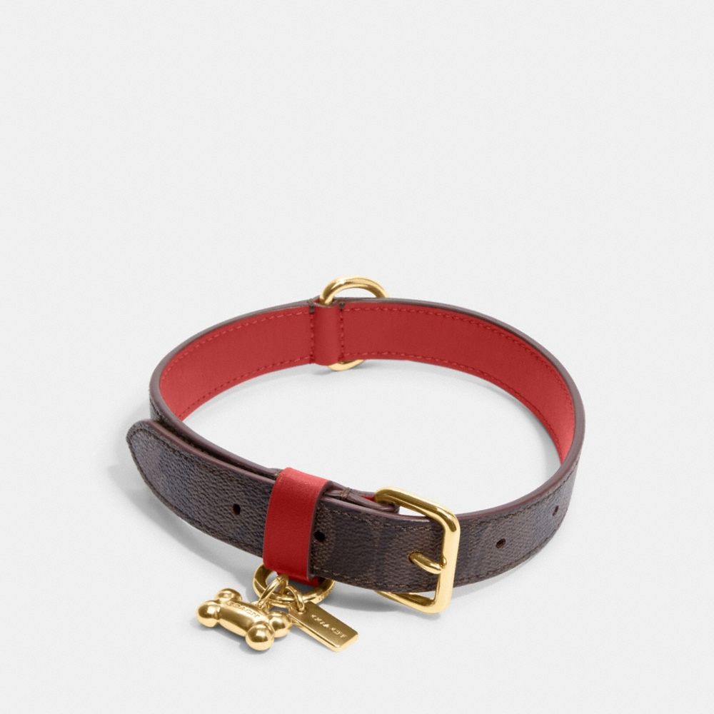Coach Outlet Boxed Medium Pet Collar In Signature Canvas - Preorder