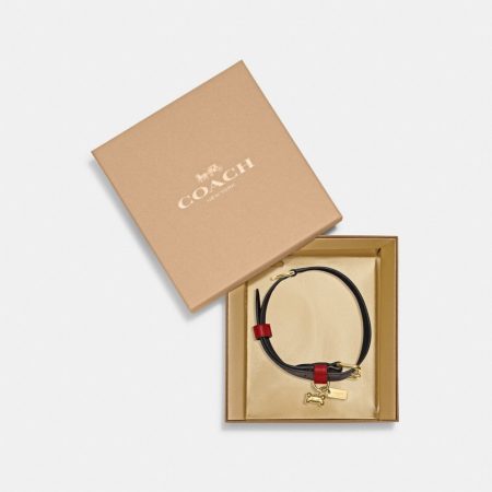 Coach Outlet Boxed Large Pet Collar In Signature Canvas - Preorder — Brass/Brown Black/Red Apple