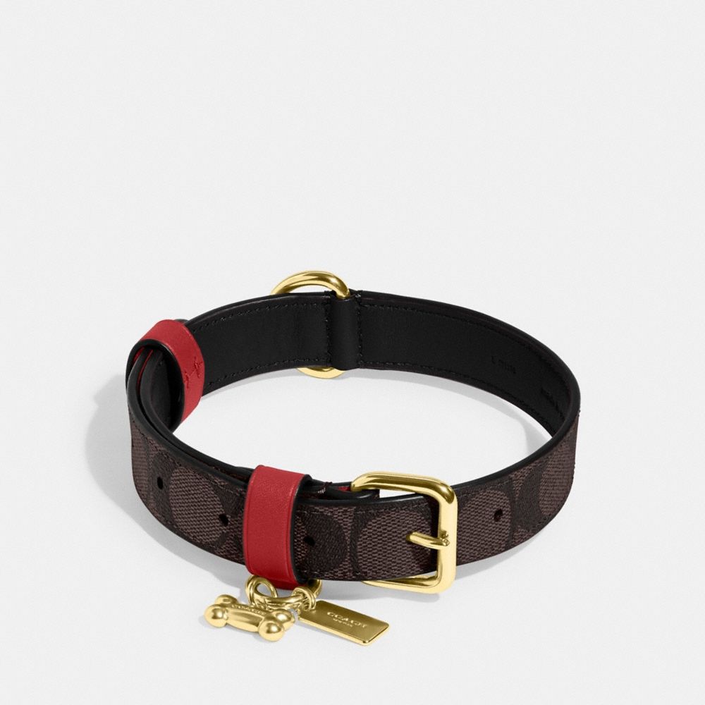 Coach Outlet Boxed Large Pet Collar In Signature Canvas - Preorder