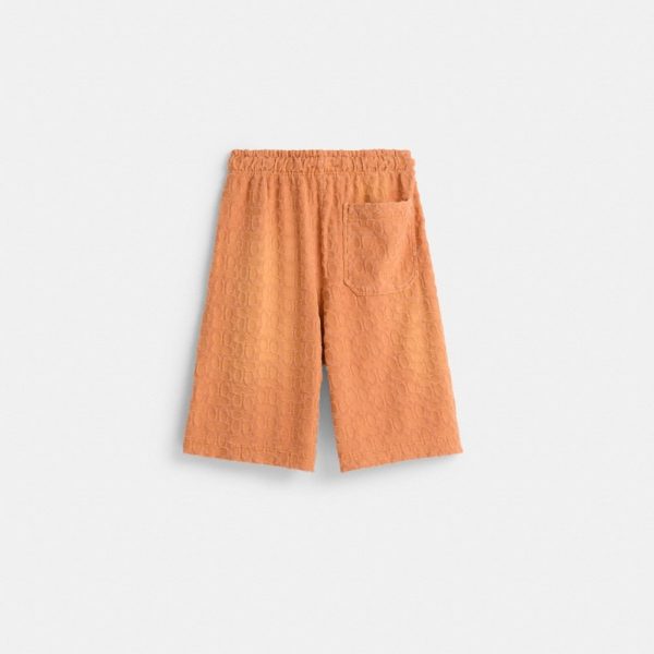Coach Restored Sun Faded Shorts - Preorder