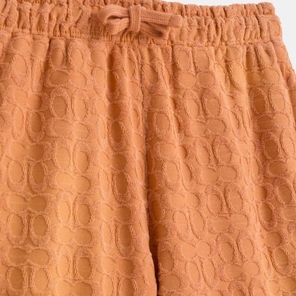 Coach Restored Sun Faded Shorts - Preorder