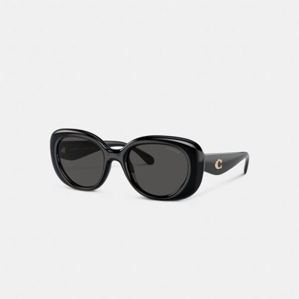Coach Outlet C Hardware Round Sunglasses - Preorder