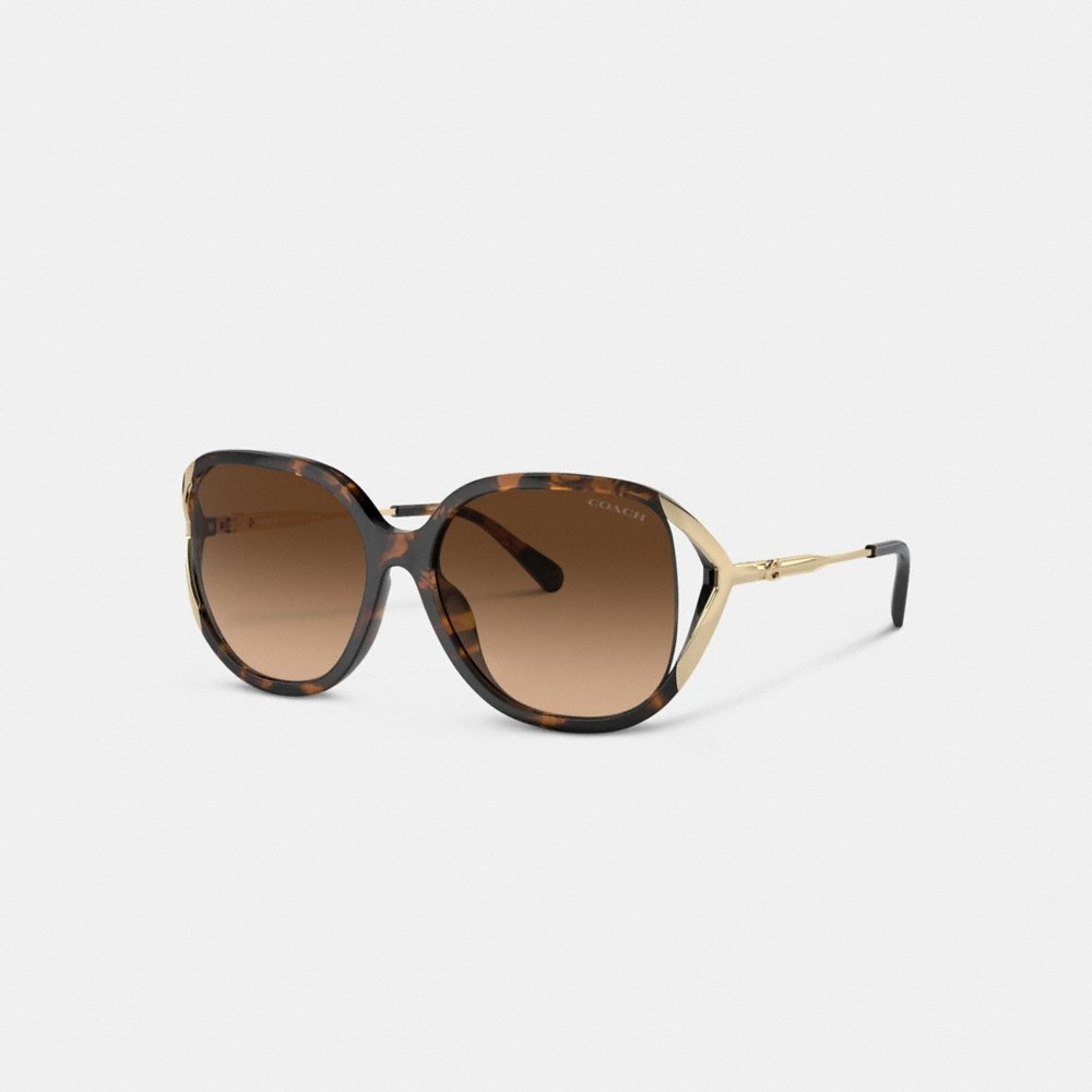 Coach Bandit Oversized Square Sunglasses - Preorder