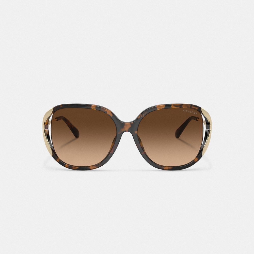 Coach Bandit Oversized Square Sunglasses - Preorder