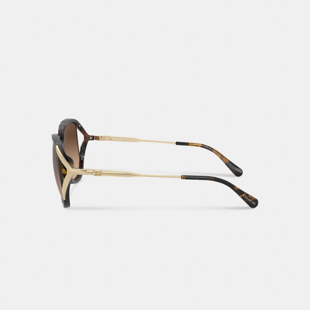 Coach Bandit Oversized Square Sunglasses - Preorder