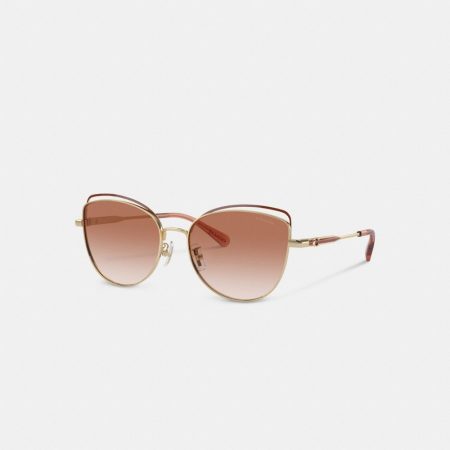 Coach Bandit Wire Oval Sunglasses - Preorder — Pink/Brown