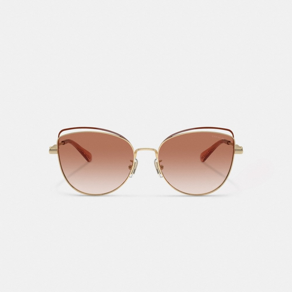 Coach Bandit Wire Oval Sunglasses - Preorder