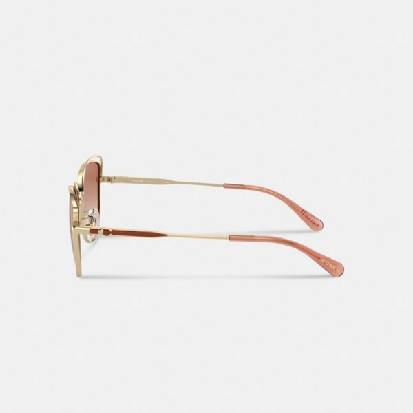Coach Bandit Wire Oval Sunglasses - Preorder