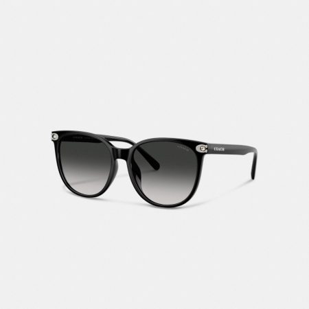 Coach Embedded C Rounded Square Sunglasses - Preorder — Black
