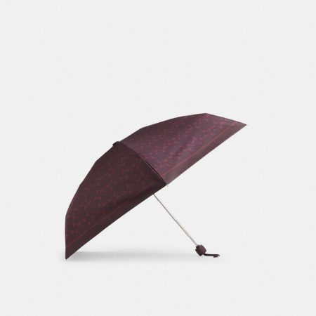 Silver / Black Currant