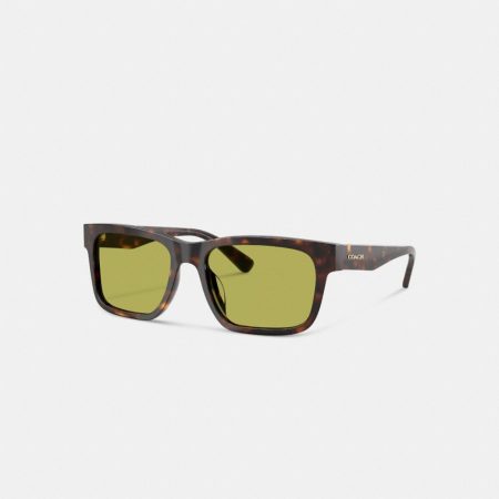 Dark Tortoise