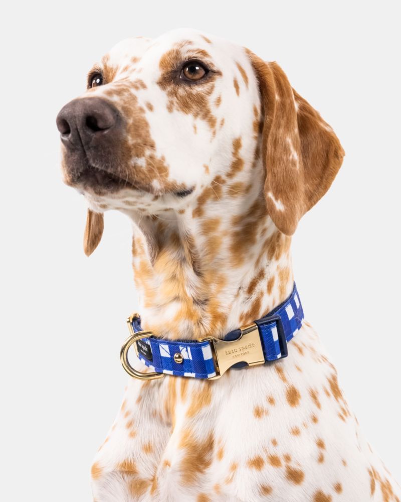 Kate Spade Outlet Navy Gingham Collar M/L - Preorder